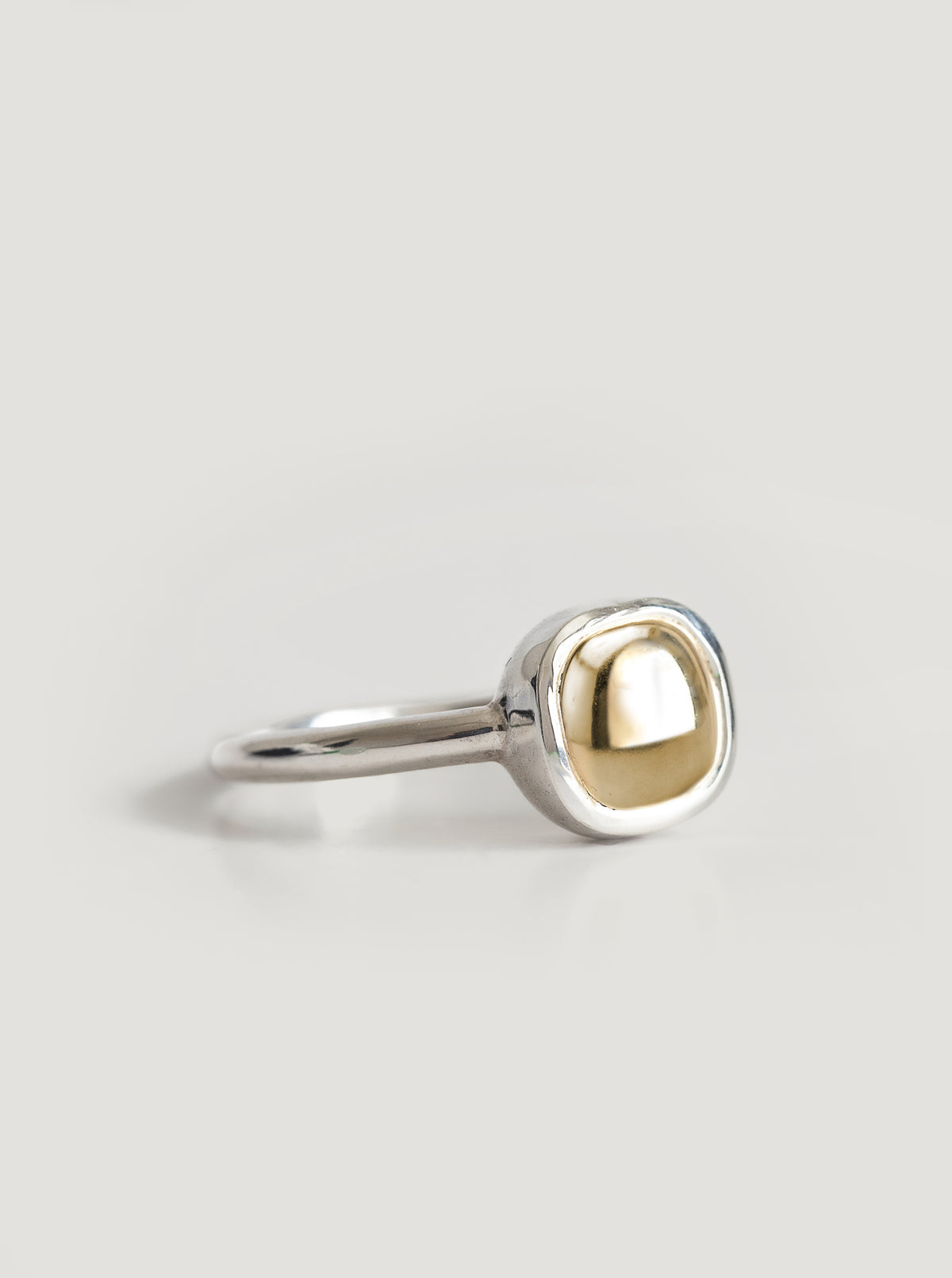 Silver and Gold Arahura River Ring