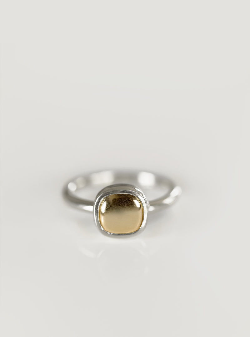 Silver and Gold Arahura River Ring